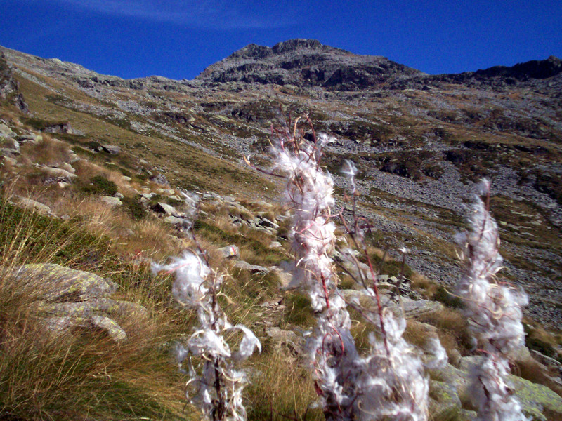 Colle del Croso